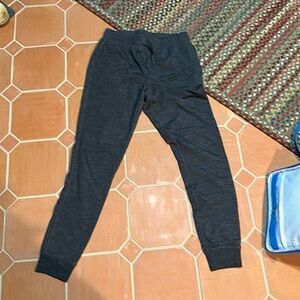 Ibex wool sweatpants